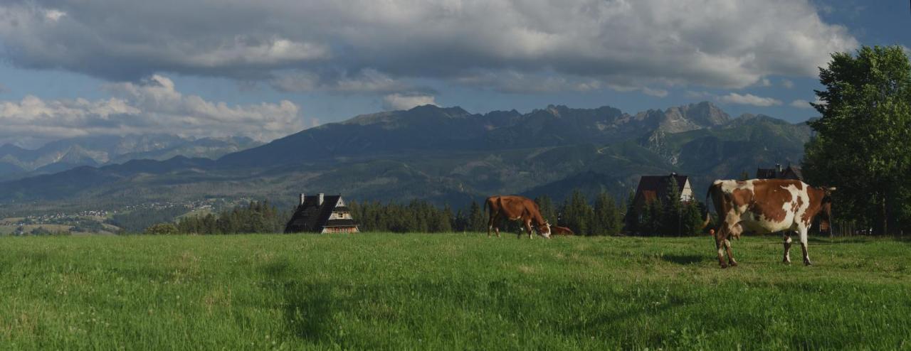 Dom Wczasowy Na Szczycie Zakopane Eksteriør billede